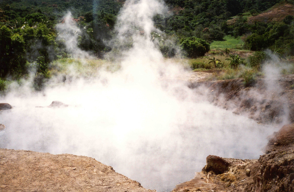 Steam rises above a hot pool at Agua Shuca, one of many thermal areas of the Ahuachapán geothermal field. A sudden hydrothermal explosion at Agua Shuca in October 1990 ejected steam and debris within a 200-m-radius, and 26 people living adjacent to the thermal area were killed. The Agua Shuca thermal area ESE of Laguna Verde volcano had historically been one of the most frequently visited areas at Ahuachapán. A previous explosion apparently took place in 1868. Photo by Pat Dobson, 1999 (Lawrence Berkeley National Laboratory).