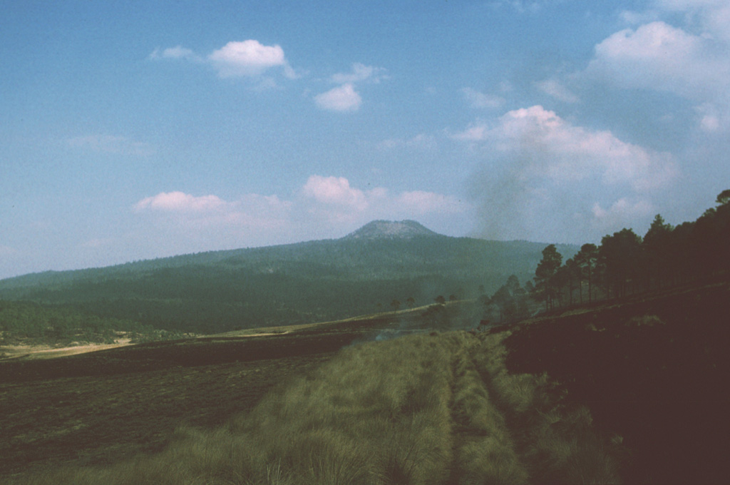 A symmetrical cone is located on Volcán Pelado, a small shield volcano about 10 km south of Xitle volcano. Pyroclastic flows accompanied the formation of the cone. Pelado and the Xitle cone, which erupted about 1,670 years ago, are among the many Holocene vents of the Chichinautzin volcanic field. Both eruptions affected nearby settlements. Photo by Paul Wallace, 1991 (University of California Berkeley).