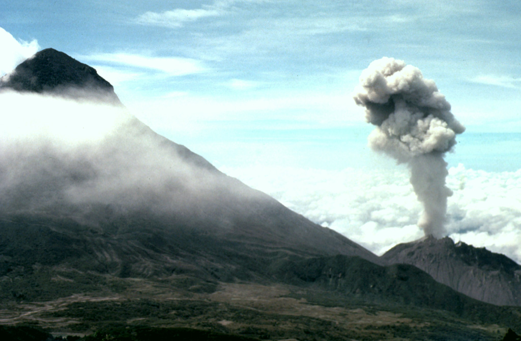 An ash plume rises above the Santiaguito lava dome complex in June 1976 nearly to the height of Santa María's summit. The dome complex was constructed within a large explosion crater that formed in the SW flank of during the major 1902 explosive eruption. The crater, seen in profile here, extends from just below the summit to 2.2 km elevation, below the bottom of the photo. Photo by Bill Rose, 1976 (Michigan Technological University).