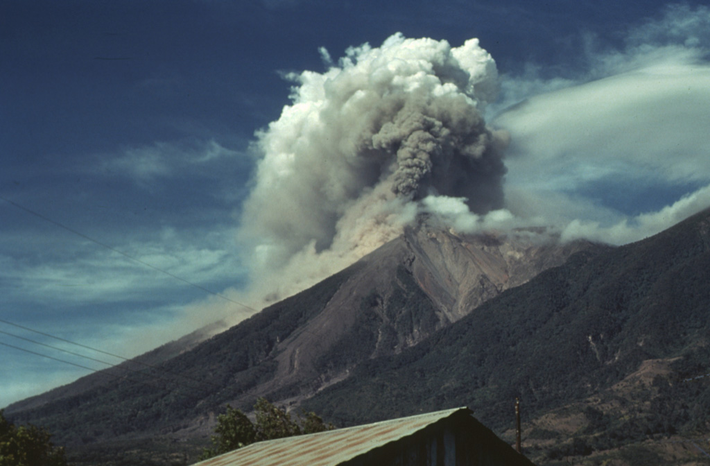 Prevailing winds disperse an ash plume from Fuego to the SW in December 1978 as a small pyroclastic flow descends the SE (left) flank. Intermittent minor eruptions took place over a two-year interval from 11 September 1977 to 8 August 1979. Strombolian eruptions were sometimes accompanied by small pyroclastic flows and lava flows. Photo by Bill Rose, 1978 (Michigan Technological University).