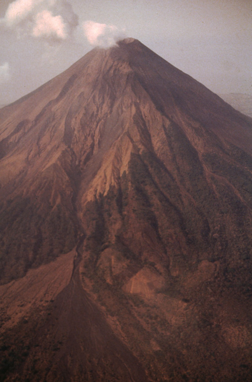 The SW flank of Concepción has been altered by mass-wasting processes. This 1992 photo shows the effects of many rockfalls, as well as small landslides of ash and scoria on the west and south flanks. The SW gully has discharged a large amount of sediment since 1983, forming a fan (lower left) that by 1986 had buried 500 m of mature forest. Areas as far away as communities 8 km SW of the crater were affected, and some homes had to be abandoned. Photo by Franco Penalba, 1992 (courtesy of Jaime Incer).