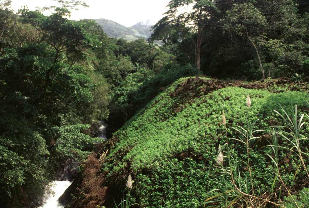 This vegetated slope is the margin of a lava flow erupted from the Media Luna scoria cone that traveled about 3 km down the Quebrada Media Luna and diverted the stream to the northern side of the valley. Near the distal end of the flow it fills a broad valley, diverting the Río Chitra to the far western side of the valley.  Photo by Lee Siebert, 1998 (Smithsonian Institution).