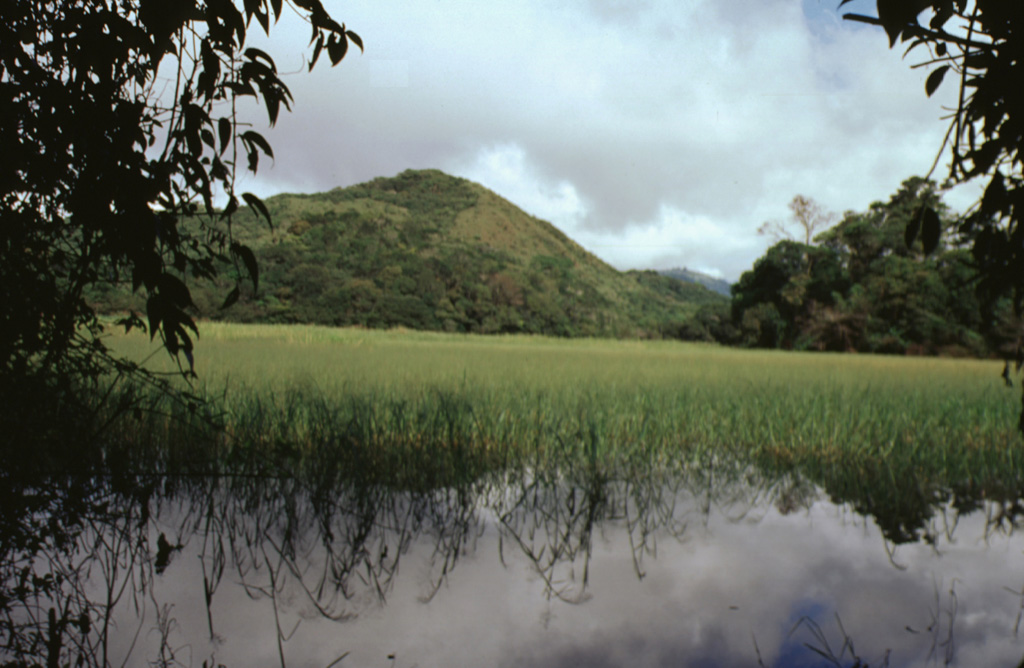 Las Lagunas, a group of small ponds west of Volcán Barú, formed between hummocks of a massive debris avalanche deposit that resulted from flank collapse. Las Lagunas is 5 km WSW of the town of Hato del Volcán and 19 km from the headwall of the collapse scarp where it originated. Photo by Paul Kimberly, 1998 (Smithsonian Institution).