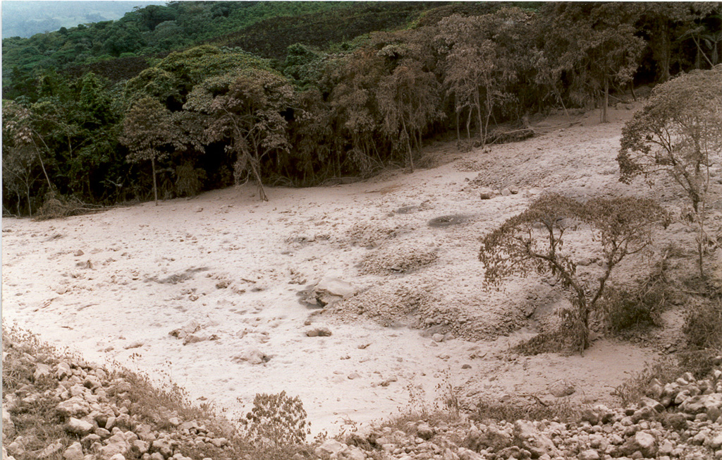 The main pyroclastic flow deposit of 5 May 1998 fills the channel of the Río Tabacón on the NW flank of Arenal. Nearly two dozen pyroclastic flows took place that afternoon. Transported blocks were semi-rounded and had abundant cooling joints; they often contained breadcrust textures from expansion of the partially molten core. Their sizes ranged up to 4 m in diameter. At an undisclosed time of inspection the block's temperatures were as high as 525°C, whereas at 10 cm depth the smaller tephra of the deposit's matrix reached only 100°C. Photo by Erick Fernandez, 1998 (OVSICORI-UNA).