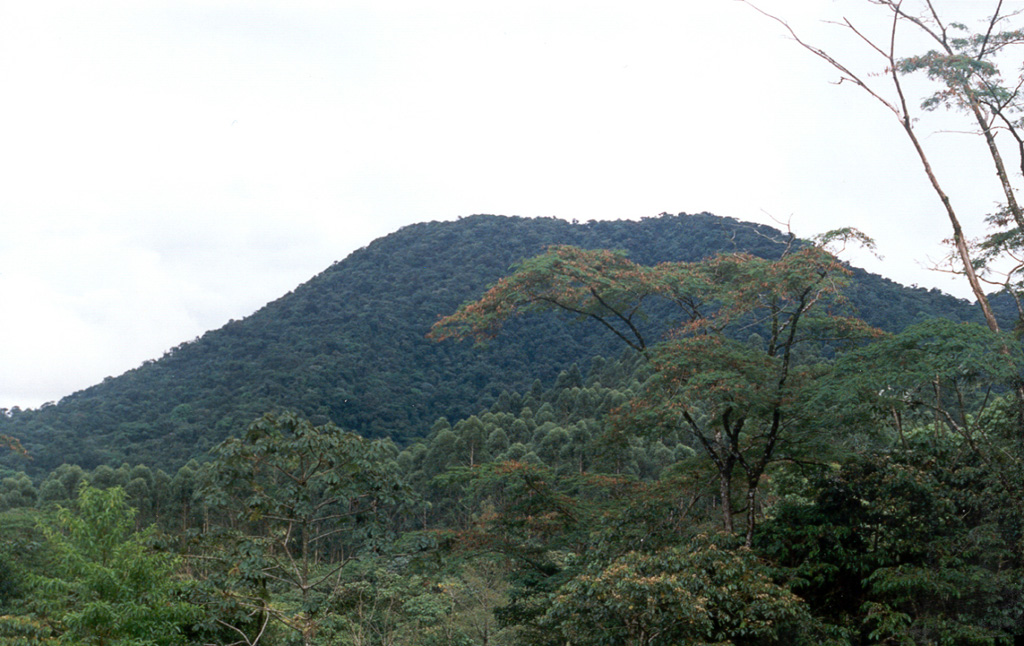 The western flanks of Cerro Chato on the SE side of Arenal are seen here from the OVSICORI-UNA/Smithsonian Institution volcano observatory at Arenal in 1998. At this time, the last known eruption was about 3,500 years ago. Following that eruption, it contained a 500-m-wide summit crater that is partially filled by Laguna Cerro Chato.  Photo by Jorge Barquero, 1998 (OVSICORI-UNA).