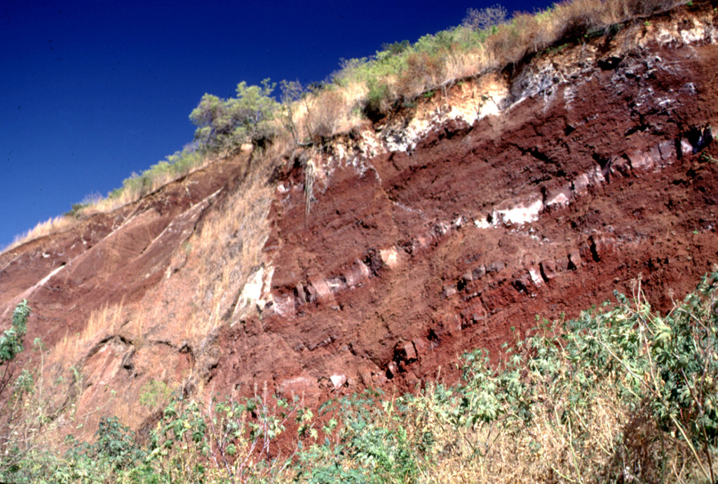 A quarry exposes red, oxidized scoria deposits with interbedded lighter lava flow units (possibly due to surface alteration) at Cerro la Leona scoria cone on the northern rim of Coatepeque caldera. The stratigraphy of the adjacent Cerro la Leona and Cerro Cañitas cones on the NE caldera rim were exposed by the caldera ring faults. At least ten other scoria cones on the eastern and southern caldera rims overlap ring faults.  Photo by Lee Siebert, 2002 (Smithsonian Institution).