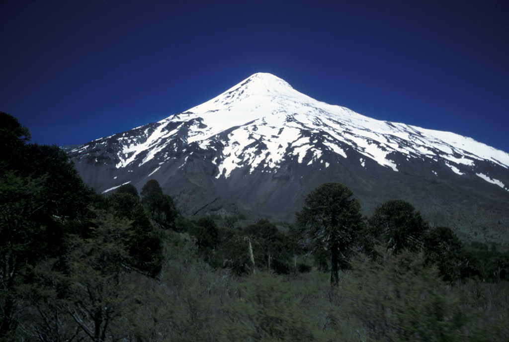Snow-capped Lanín volcano rises to the SSW above the Chile/Argentina border.  A grove of distinctive Araucaria trees ("monkey puzzle trees") occupy the foreground.  These distinctive trees are one of Chile's most renowned conifers and are confined to restricted areas in the Andes.  Fossils reveal that this genus was once extremely widespread, leaving behind petrified woods in Arizona and amber deposits around the globe. The Auracaria occurs today only in Chile, one small region in Brazil, a few places in Australia, and New Caledonia. Photo by Lee Siebert, 2004 (Smithsonian Institution).