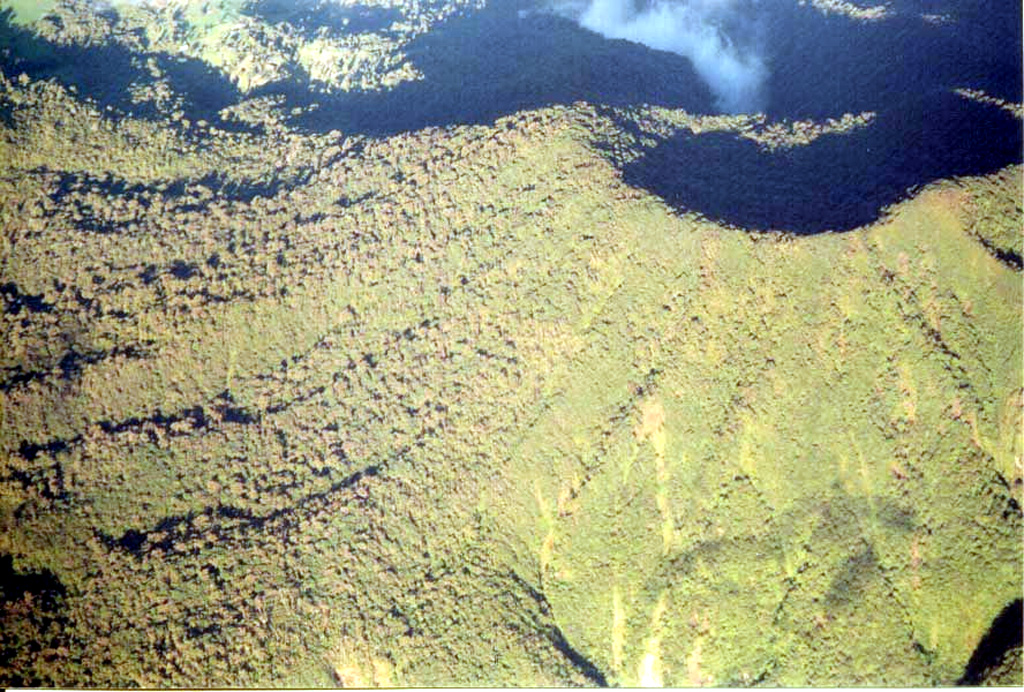 The Platanar summit crater is to the upper right of this photo taken from the south. Holocene lava flows are on the western flank. Photo by Federico Chavarria Kopper, 2004.