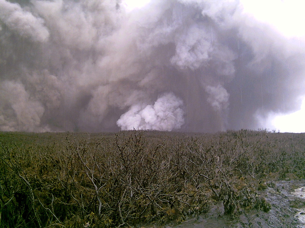 A phreatic eruption plume is seen from Karthala's E slopes on the afternoon of 17 April 2005. The vent lies below the white-plume in the center of the photo. A brief explosive eruption beginning on 16 April and produced ashfall that increased in intensity the following day. On the 18th a lava lake was seen in the crater and the surface had cooled by the following day. Photo by Daniel Hoffschir, 2005.