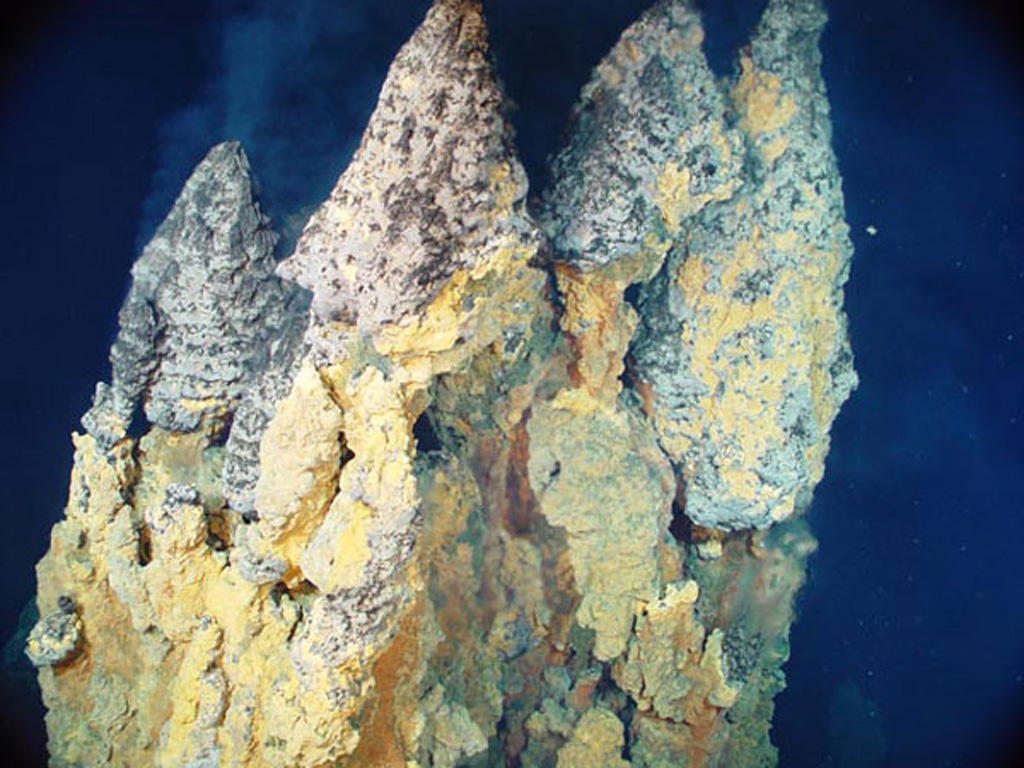 Active smoker chimneys precipitating iron, copper and zinc sulfides from 230°C fluid are found at the Black Forest hydrothermal area within the submarine caldera of East Diamante volcano. They are 9 m tall from the base to the top. The submarine volcano contains an elongated NE-SW-trending caldera with a pronounced rim on the NE side. A complex of lava domes constructed in the center of the caldera is the site of several hydrothermal areas. Image courtesy of Submarine Ring of Fire 2004 Exploration, NOAA Vents Program.