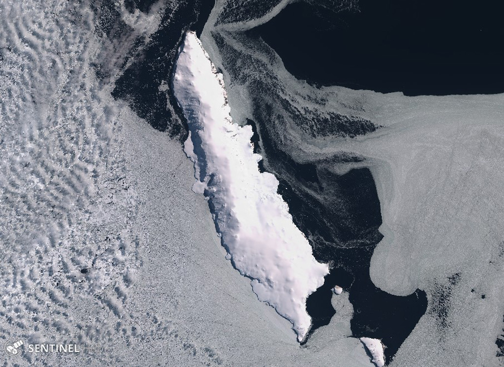 The roughly 30-km-long Young Island is shown in this 24 January 2020 Sentinel-2 satellite image (N is at the top). It is the northernmost of the three main Balleny islands, with Buckle and Sturge to the south. Satellite image courtesy of Copernicus Sentinel Data, 2020.
