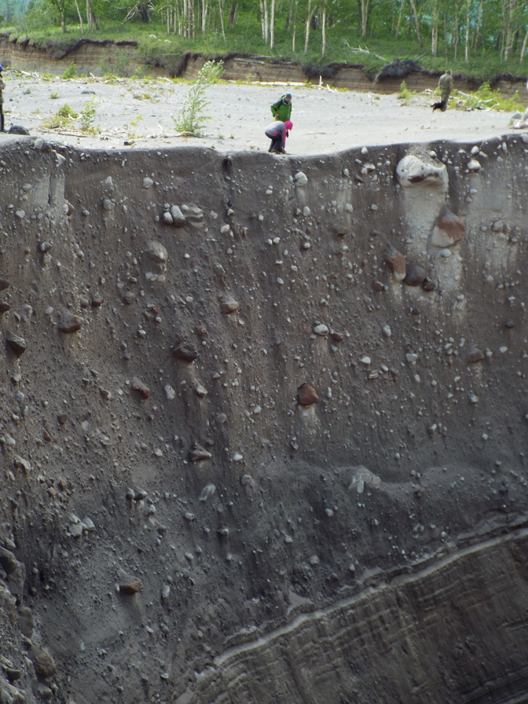 This section within the Sheveluch the block-and-ash flow deposit from 27-28 February 2005 was exposed by the new Baidarnaya river channel along the northern edge of the deposit. The deposit is composed of fragmented lava dome rock and overlies older laminated deposits, seen here in July 2015. Photo by Janine Krippner, 2015.