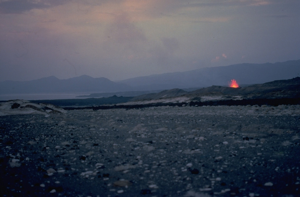 A lava fountain at the right rises from a 500-m-long fissure at Ardoukôba.  This view looks from the NNW to the Ghoubbat al Kharab gulf of the Red Sea in the distance.  About 25 fissures parallel to the NW-SE trend of the Ardoukôba Rift opened during the eruption, but eruptive activity was localized on a single rift.  Lava flows from the 1978 eruption covered 3.2 km2 of the rift floor. Copyrighted photo by Katia and Maurice Krafft, 1978.