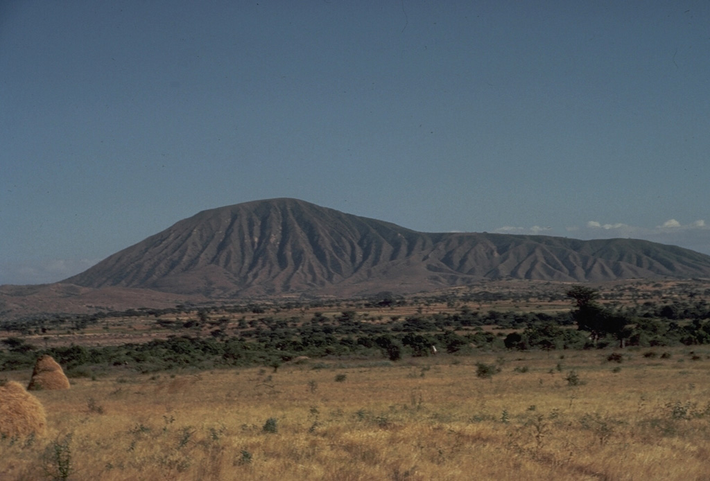 Mount Bericha, a rhyolitic pumice cone along the Wonji Fault Belt in Ethiopia, is part of the Bora-Bericha-Tulle Moye volcanic complex. Produced by the accumulation of rhyolitic pumice around its vent, Bericha is capped by a small summit crater. Erosion of the unconsolidated pumice has produced abundant small valleys on the flanks of the cone. Small pumice cones are found on the east flanks of both Bora and Bericha. Photo by Giday Wolde-Gabriel, 1984 (Los Alamos National Laboratory).