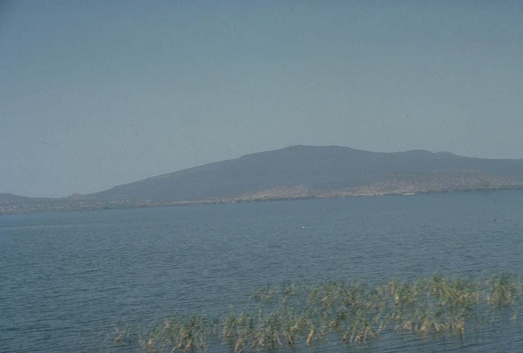 Chebbi volcano, rising to the N across Awasa lake, is a large obsidian dome constructed on the SE rim of the 15-km-wide Corbetti caldera, which itself lies within the NW side of the larger Awasa caldera. Lava flows extend into the caldera itself; the southern rim forms the low saddle to the left. The age of the latest eruption of Corbetti is not known, although fumarolic activity continues. Photo by Giday Wolde-Gabriel (Los Alamos National Laboratory).