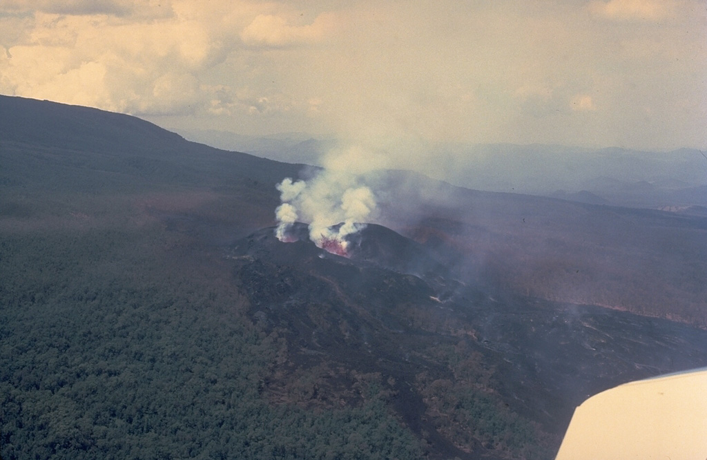 This February 18, 1980 aerial view shows a newly formed cinder cone on the north flank of Nyamuragira volcano.  A lava flow traveling to the north (right) cuts through the forest below the cone.  The eruption began from a new north-flank fissure between 1900 and 2000 hrs on January 30.  Gasenyi cinder cone was formed and fed lava flows that traveled initially to the east.  Another flow traveled down the north flank and reached 13 km to the NE.  Activity declined on February 23 and ceased the next morning. Copyrighted photo by Katia and Maurice Krafft, 1980.