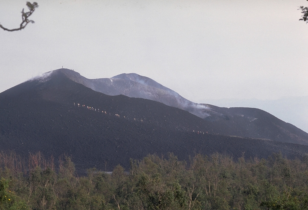 A group of African students on a field expedition ascends Gasenyi cinder cone on Nyamuragira on 23 February 1980, shortly before the end of an eruption that began on 30 January.  The cinder cone formed at the beginning of February at the northern end of a 2-km-long fissure on the N flank. Lava flows from the cone traveled to the east, NW, and 13 km down the NE flank. Copyrighted photo by Katia and Maurice Krafft, 1980.