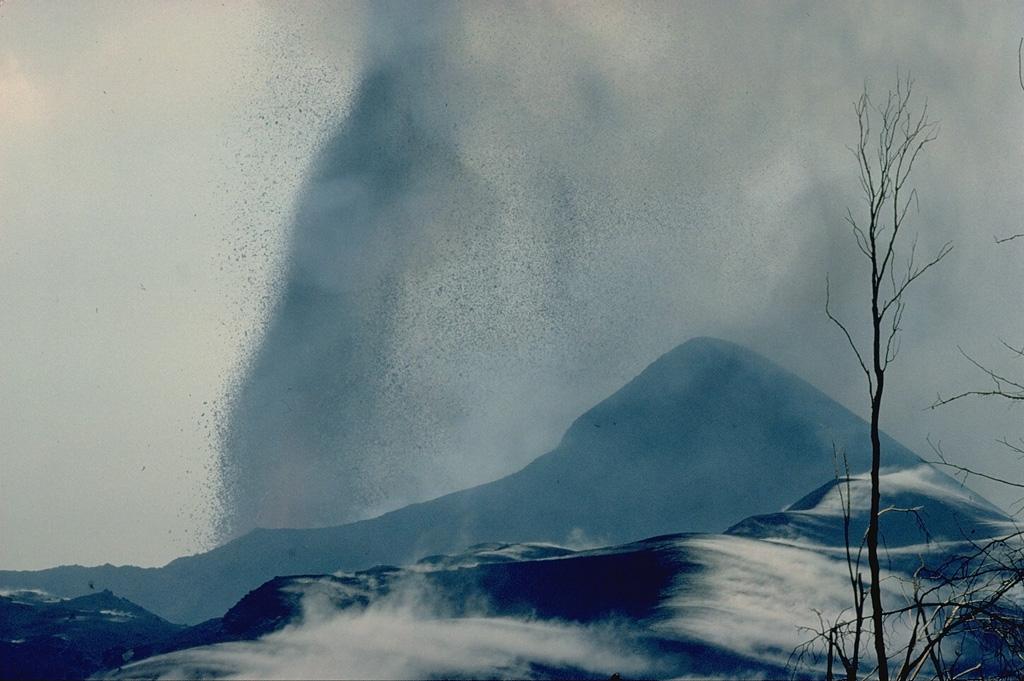 An explosive eruption from a SE-flank vent of Nyamuragira produces a powerful vertical fountain above the vent at the left.  Ash and scoria are blown by winds to the right, where they have accumulated to form the rim of a cinder cone.  Hot pyroclastic-fall deposits steam in the foreground of this January 1981 photo.  This eruption, which began in December 1981 and ended the following month, produced a large aerosol cloud that was tracked around the globe and produced brilliant sunsets in the following months. Copyrighted photo by Katia and Maurice Krafft, 1982.