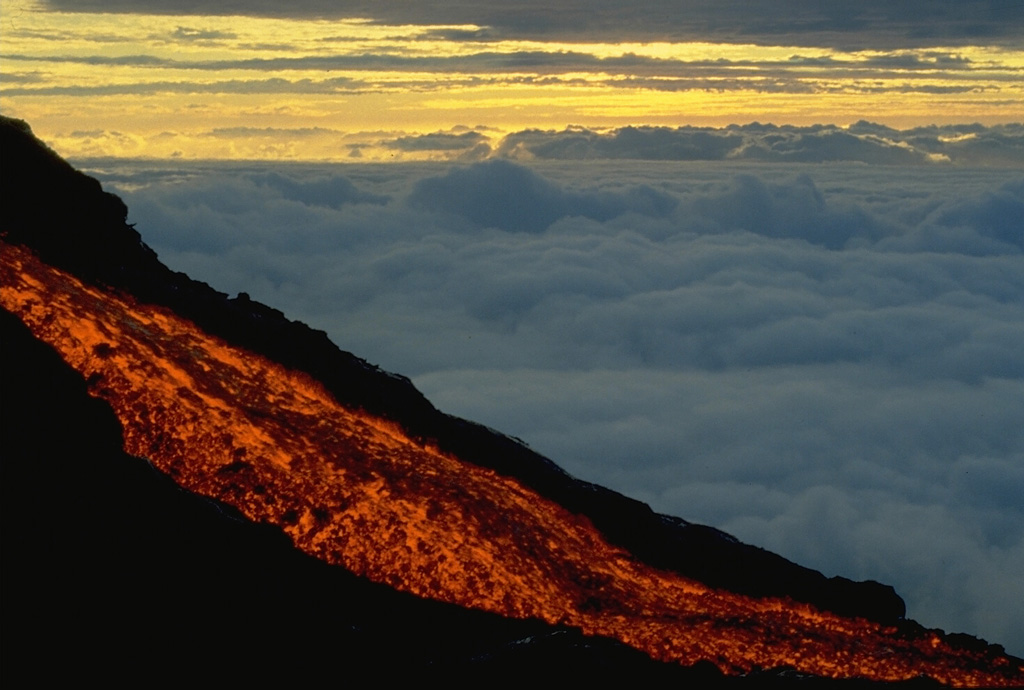 A glowing lava flow descends the flank of Piton de la Fournaise volcano at dawn in September 1985.  A long-term eruption that began in June 1985 and lasted until December 1988 produced lava flows from vents within the summit crater of Dolomieu, on its flanks, and on the outer SE flank of the volcano.  This was the first outer flank activity since 1977.  The SE-flank lava flows destroyed eight houses before reaching the Indian Ocean.  Copyrighted photo by Roland Benard, 1985 (courtesy of Katia and Maurice Krafft).