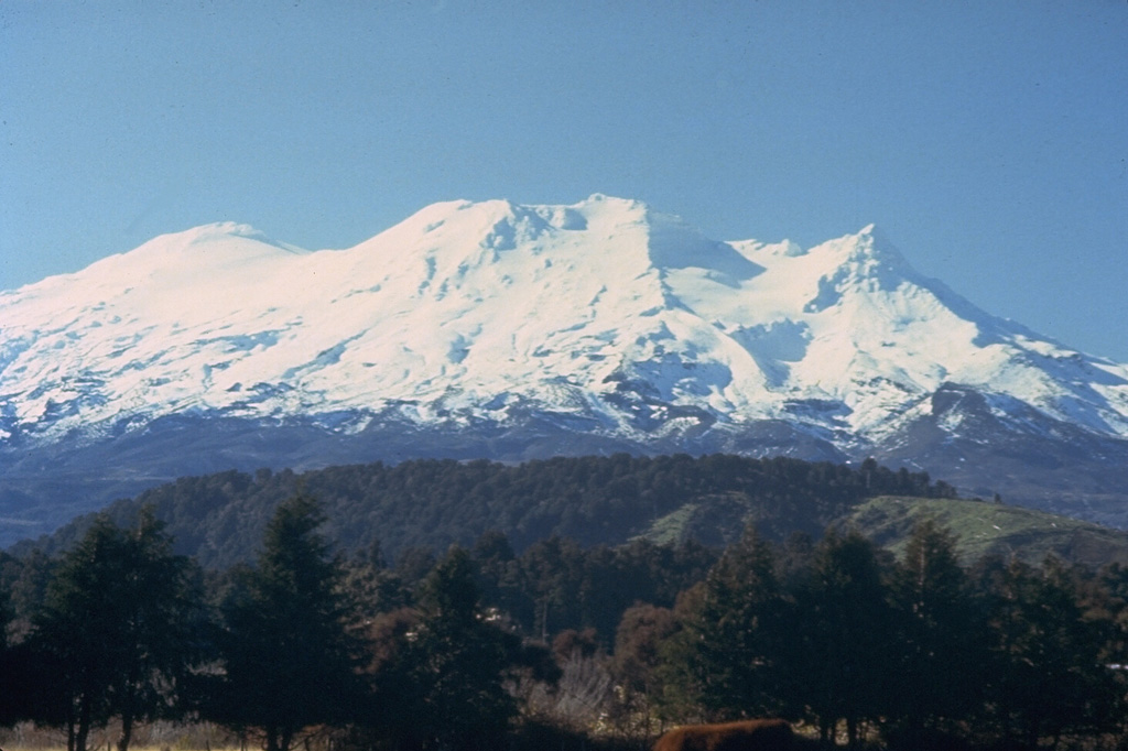 Ruapehu volcano, seen here from the south, forms a massif composed of at least four overlapping volcanic edifices. Located at the southern end of the Taupo volcanic zone, it contains an active crater lake near the summit. Phreatic explosions have produced mudflows that have affected ski areas on the upper flanks and river valleys below the volcano. Photo by Bruce Houghton, 1980 (Wairakei Research Center).