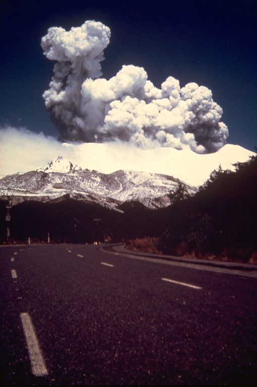 An eruption plume rises above the summit of Ruapehu on 11 November 1977, as seen from 5 km N of the summit on the ski area access road near Whakapapa village. Minor phreatic eruptions began in July and lasted until January 1979. The larger explosions in November produced pyroclastic surges in the summit crater area and a lahar down the Whangaehu River on the E flank. Photo courtesy Bruce Houghton, 1977 (Wairakei Research Center).
