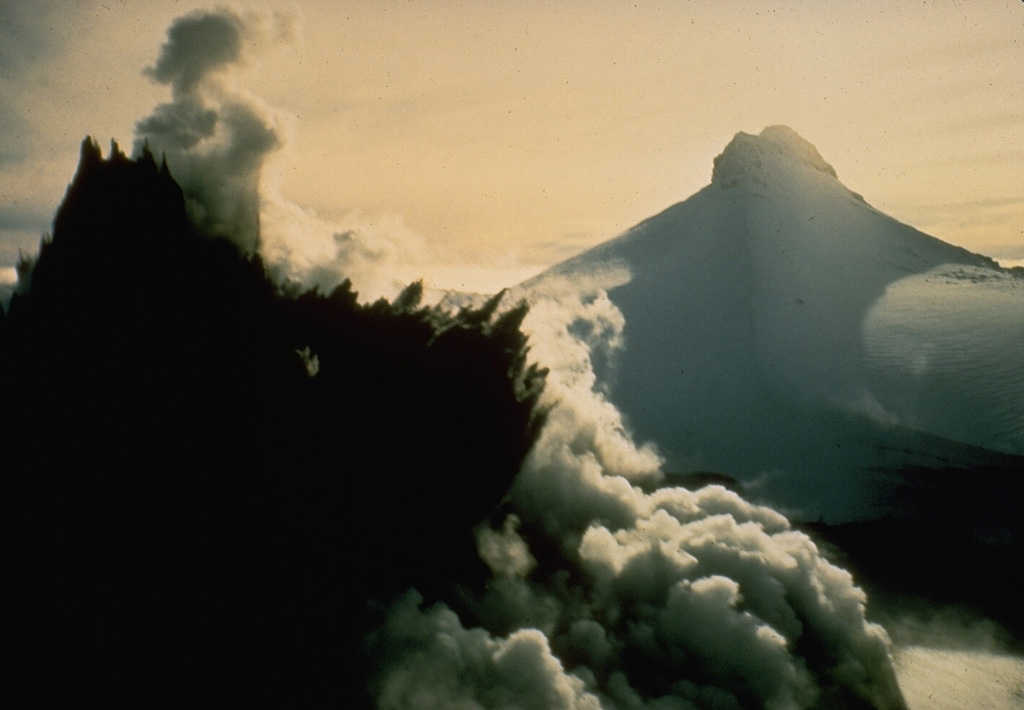 A dark cock's-tail plume is ejected from Crater Lake during the 8 May 1971 eruption of Ruapehu. This view from the NW shows Mitre Peak in the background at the onset of the eruption, which ejected material to 1.5 km above the crater. It was the largest of a series of phreatic and phreatomagmatic eruptions from 3 April to November. Photo by Peter Otway, 1971 (New Zealand Geological Survey).