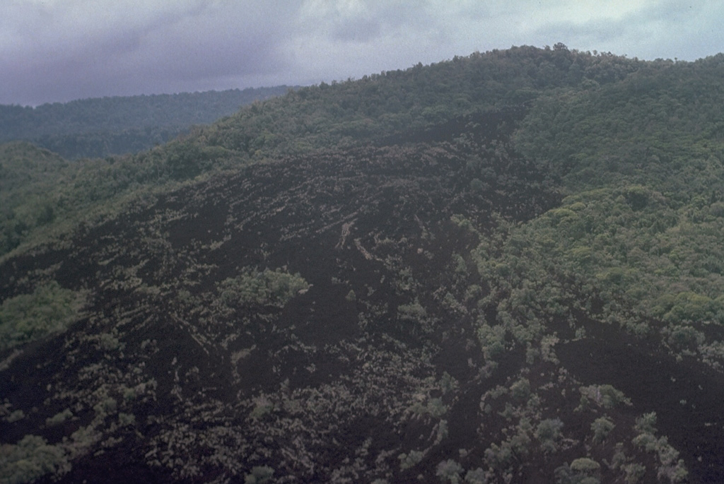 This sparsely-vegetated lava flow appears to be the youngest within Dakataua caldera. It may have been emplaced at the time of the latest known eruption, which took place during the 1890s from the post-caldera cone, Mount Makalia. This is one of several young volcanic features occupying a 7-km-long peninsula. Photo by Russell Blong, 1988 (Macquarie University).
