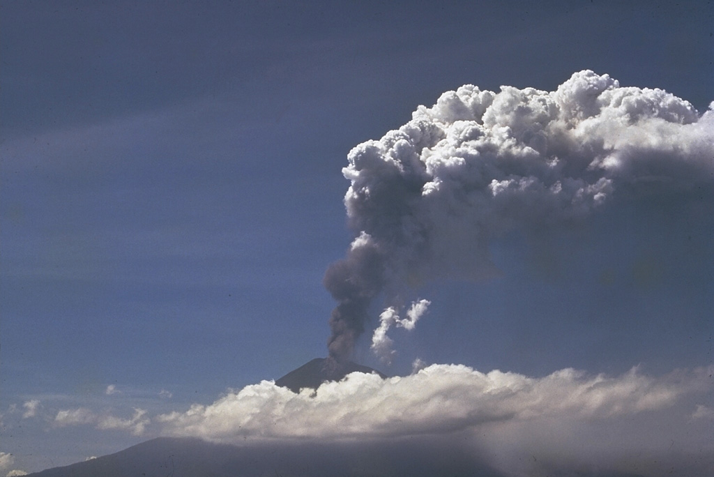 An explosive eruption from Ulawun began on 15 January 1970. On 22 January pyroclastic flows were produced, followed by periodic lava emission that produced a flow reaching 5 km SW of the crater. This photo shows an ash plume rising above the summit on 23 January. Photo by Wally Johnson, 1970 (Australia Bureau of Mineral Resources).