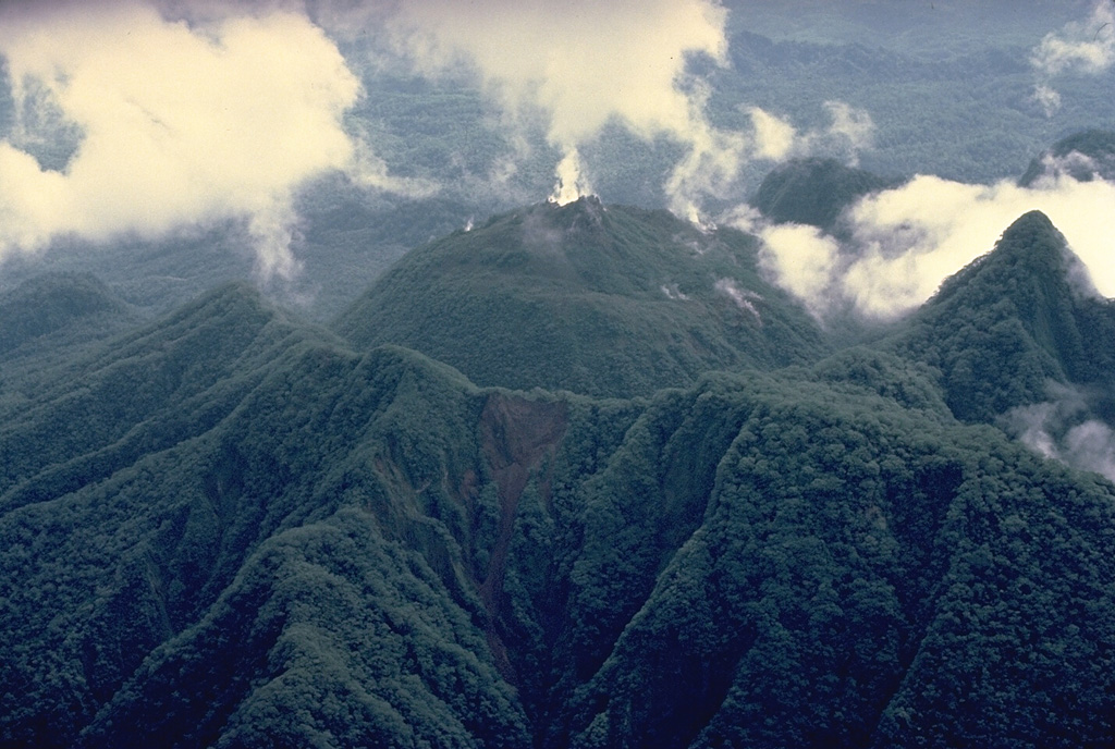 Nearly three decades after its catastrophic eruption in 1951, Mount Lamington is mantled with dense vegetation.  This aerial view from the south shows the rounded summit lava dome (center) that was emplaced during 1951-56 in a horseshoe-shaped crater breached to the north.  The arcuate ridge in the foreground and the sharp peak at the right mark the rim of 1951 crater. Copyrighted photo by Katia and Maurice Krafft, 1979.