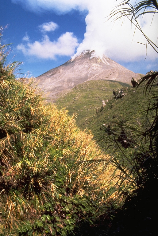 A plume rises above the Bagana summit lava dome on 18 June 1987. To the right of this view an older lava flow from Bagana is visible. The extrusion of viscous andesitic lava flows has occurred throughout much of the 20th century. Photo by Wally Johnson, 1987 (Australia Bureau of Mineral Resources).