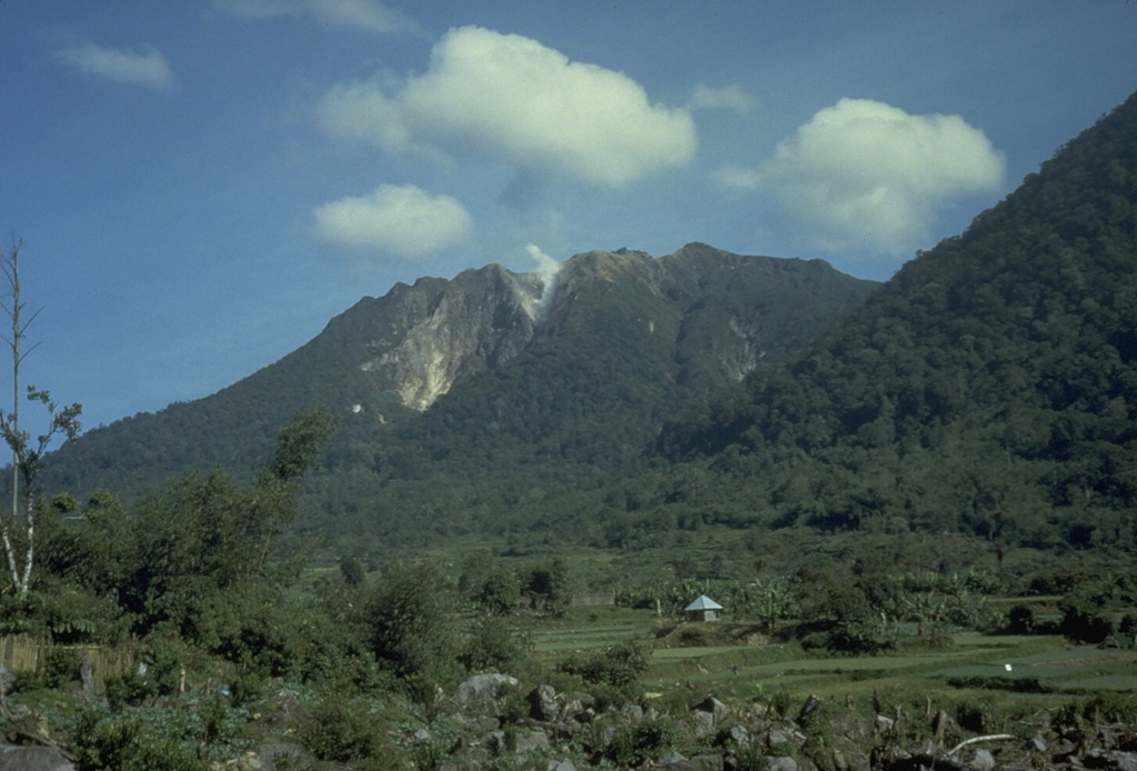 Sibayak and Mt. Pinto are located within the Singkut caldera in NE Sumatra. The slightly higher Pinto partially overtops the 900-m-wide crater of Sibayak to the N. The summit contains a lava dome and an area of hydrothermal alteration visible in this photo. An ash eruption from Sibayak was recorded in 1881, and nearby residents have legends of eruptions. Photo by Tom Casadevall, 1987 (U.S. Geological Survey).