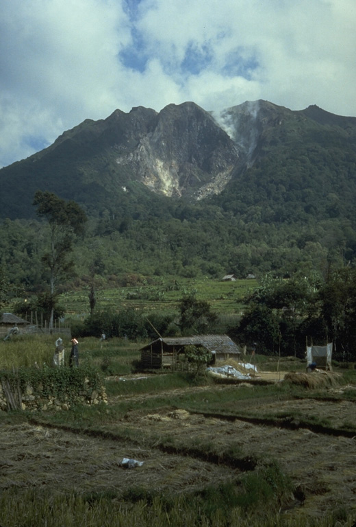 A plume rises from a thermal area near the summit of Sibayak volcano within Singkut caldera. Sibayak is seen here from a village in the flat-floored caldera S of the summit. Photo by Tom Casadevall, 1987 (U.S. Geological Survey).