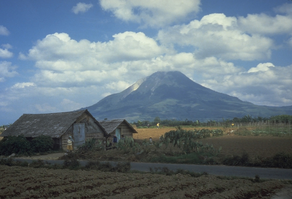 The Sinabung volcano, seen here from the E, rises above farmlands on the Karo Plateau. At the time of this photo Sinabung contained four summit craters, the southernmost of which was the youngest. Many prominent lava flows can be seen on the flanks of the volcano. Photo by Tom Casadevall, 1987 (U.S. Geological Survey).