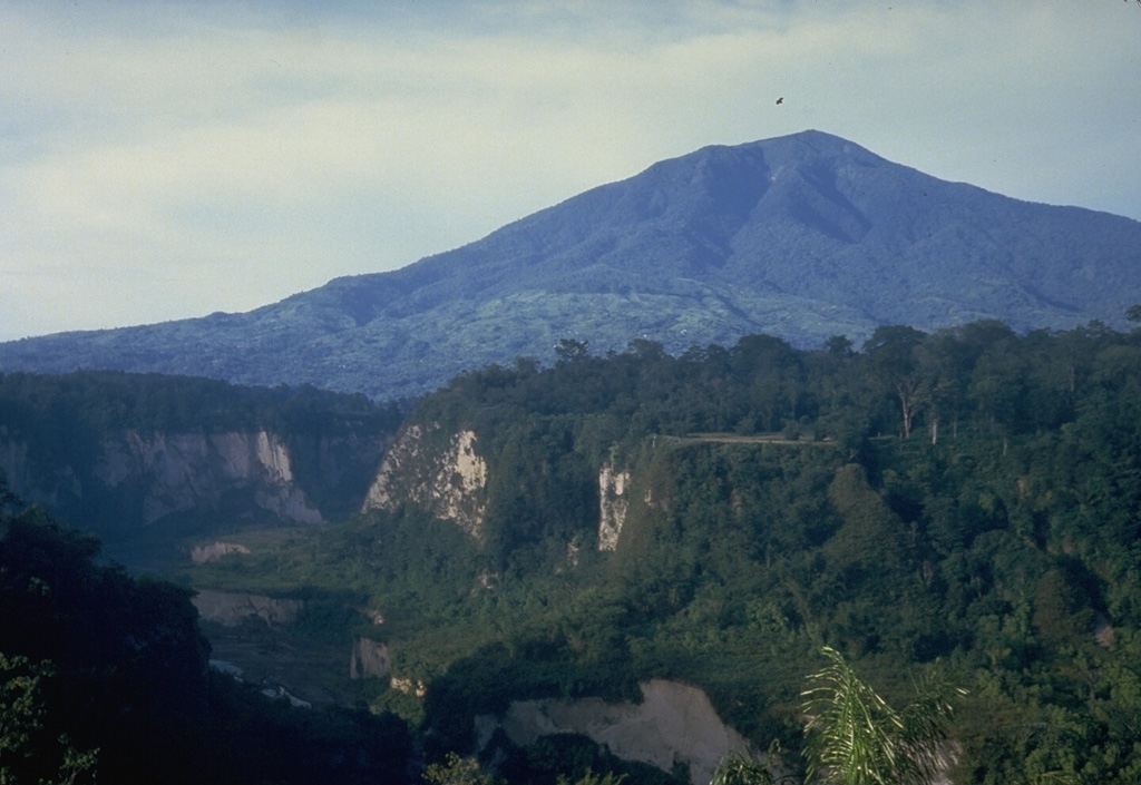 The historically active Gunung Tandikat lies across the Bukittinggi Plain from Marapi volcano in central Sumatra. The summit of Tandikat's neighboring volcano, Singgalang, is seen here from Bukittinggi city across the steep-walled Ngarai canyon north of the volcano. Gunung Tandikat contains a central cone and a small crater lake constructed within a larger 1.2-km-wide crater. Small explosive eruptions have occurred recently, including in 1924. Photo by Tom Casadevall, 1987 (U.S. Geological Survey).