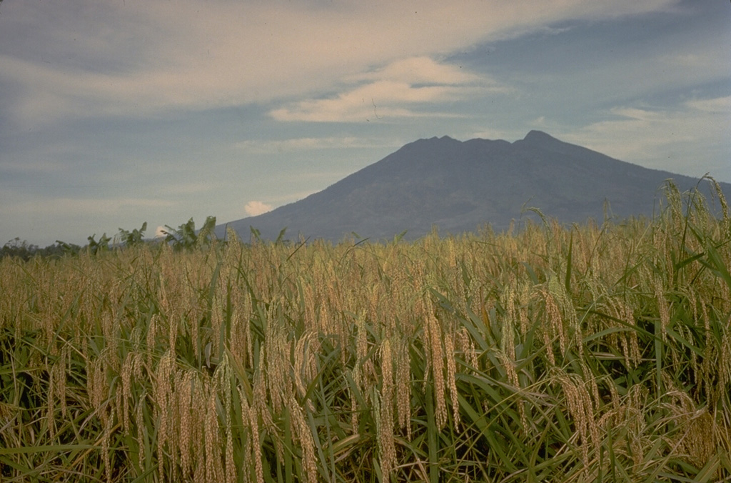 The eroded Gunung Salak volcano lies at the NE end of a dissected volcanic range in western Java.  Historical eruptions have been restricted to craters in solfataric areas on Its western flank. Copyrighted photo by Katia and Maurice Krafft, 1971.