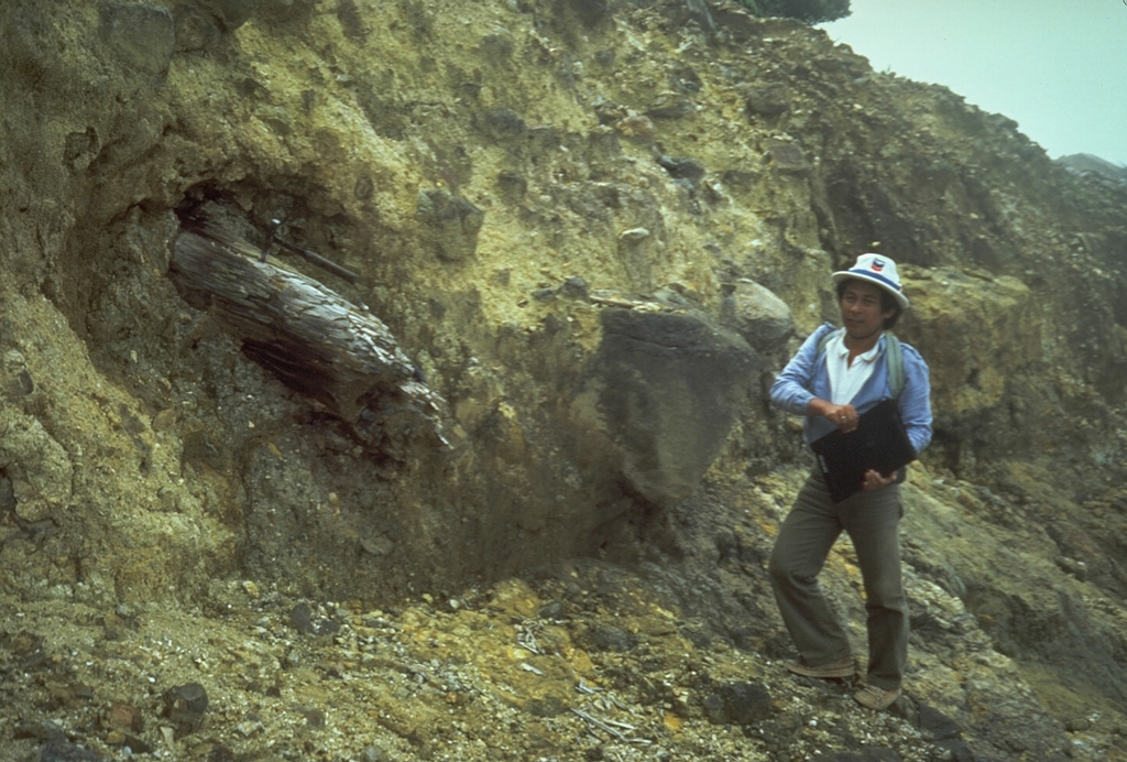 A scientist from the Volcanological Survey of Indonesia examines a debris avalanche deposit at Papandayan volcano that predates the historic 1772 debris avalanche. The deposit contains large angular clasts in a hydrothermally altered matrix and the large log to the left. Photo by Tom Casadevall, 1986 (U.S. Geological Survey).
