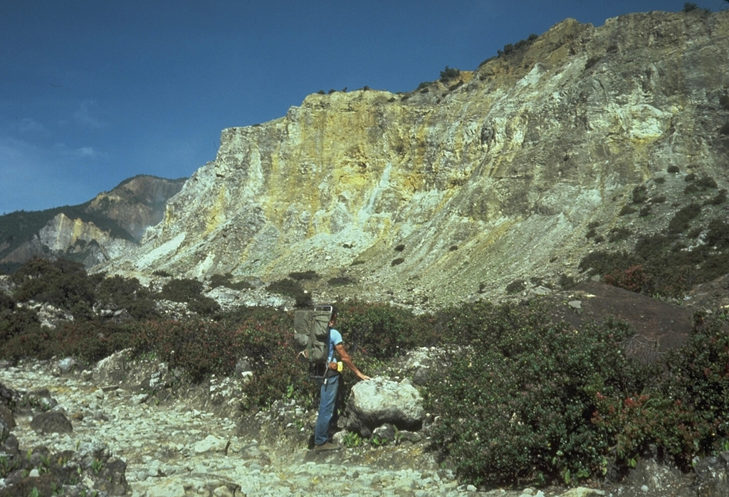 The hydrothermally altered rocks of Welirang Ridge in the background is the NE scarp resulting from the partial flank collapse of Papandayan volcano in 1772. The extensive alteration of rocks within the volcano contributed to the collapse that produced a debris avalanche that traveled 11 km from the volcano, destroying 40 villages. Photo by Tom Casadevall, 1986 (U.S. Geological Survey).