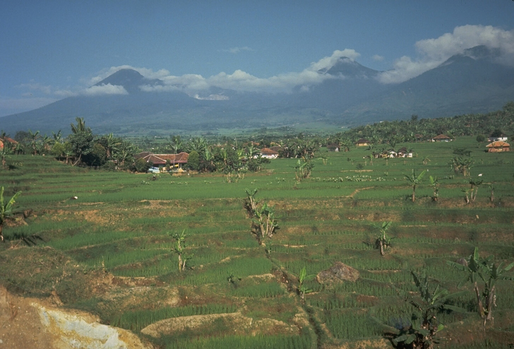 The collapse of the summit of Papandayan volcano on 8 August 1772 produced a debris avalanche that swept over lowland areas to the east, destroying 40 villages and killing 2,957 people. The farmlands in the foreground of this photo are underlain by the deposits from this avalanche, which traveled 11 km from the volcano. The collapse event was accompanied by a 5-minute-long explosive eruption. Photo by Tom Casadevall, 1986 (U.S. Geological Survey).
