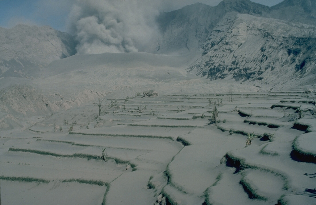 Rice fields in the foreground are blanketed by thick deposits of ash and pumice from 1982 eruptions of  Galunggung volcano.  Heavy ashfall caused severe economic disruption over large areas. Copyrighted photo by Katia and Maurice Krafft, 1982.