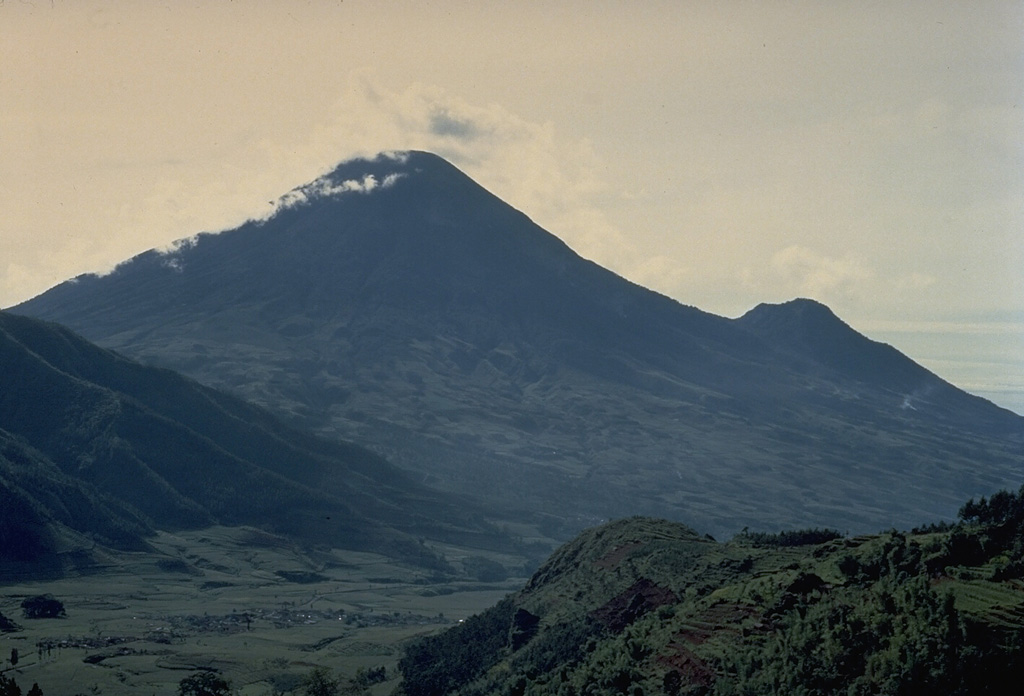 The symmetrical stratovolcano Sundoro, seen here from the NW with its flank vent of Gunung Kembang on the right, is one of two prominent stratovolcanoes SE of the Dieng volcanic complex in central Java.  Explosive eruptions have occurred in historical time from both summit and flank vents. Copyrighted photo by Katia and Maurice Krafft, 1971.