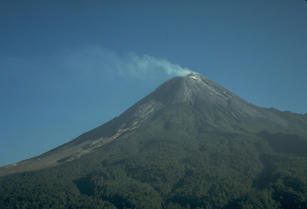 A gas plume is blown to the west from the summit of Merapi volcano on 7 December 1986, accompanying growth of a new lava dome. Small-to-moderate explosive eruptions began in October 1972. Periodic collapse of the growing lava dome produced pyroclastic flows (block-and-ash flows) and lahars that damaged cultivated lands on the SW flank of the volcano. Photo by Tom Casadevall, 1986 (U.S. Geological Survey).