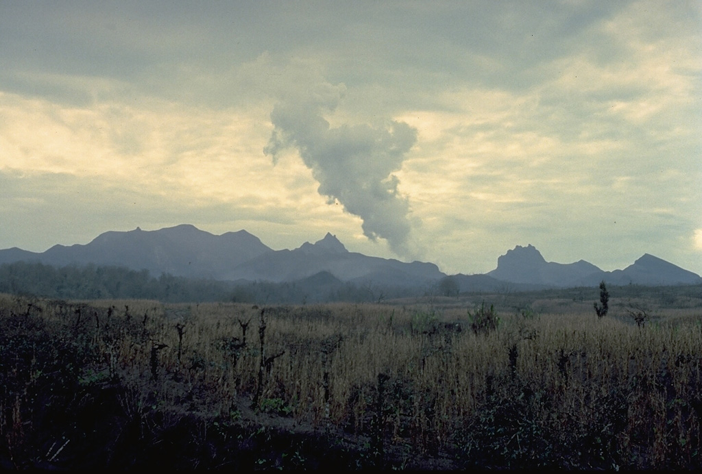 One of the least conspicuous, but deadliest of Java's volcanoes, Kelud rises to only 1731 m.  Migration of craters from east to west and emplacement of several lava domes have given the summit a broad, irregular profile.  The summit contains a crater lake that has been the source of some of Indonesia's most catastrophic eruptions, producing brief, but violent explosions accompanied by devastating pyroclastic flows and lahars (volcanic mudflows). Copyrighted photo by Katia and Maurice Krafft, 1990.