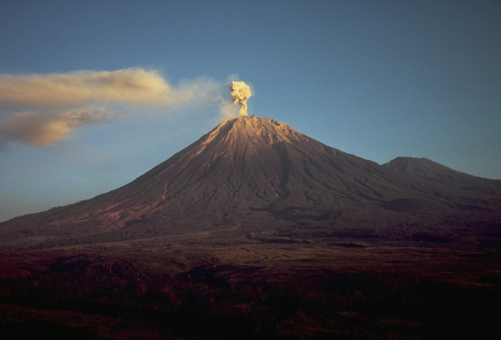 Semeru volcano rises above the coastal plain in Java, shown here producing a small ash plume in 1985. Larger eruptions occasionally produce pyroclastic flows and lahars that reach as far as the lower flanks of the volcano. Semeru (also known as Mahameru: "Great Mountain") has been in near-continuous activity since 1818. Photo by Tom Casadevall, 1985 (U.S. Geological Survey).