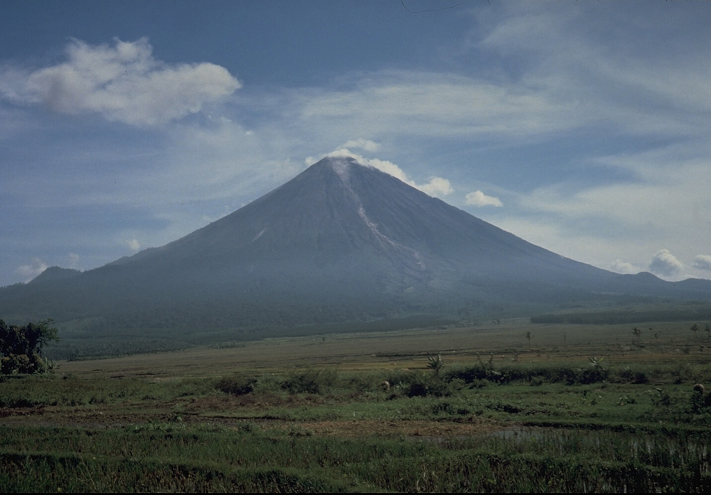 Gunung Semeru rises above cultivated land to its south in this photo taken in 1986. The volcano is located at the southern end of the Mount Bromo-Tengger-Semeru National Park and has been near-continuously active since 1818. Photo by Tom Casadevall, 1986 (U.S. Geological Survey).