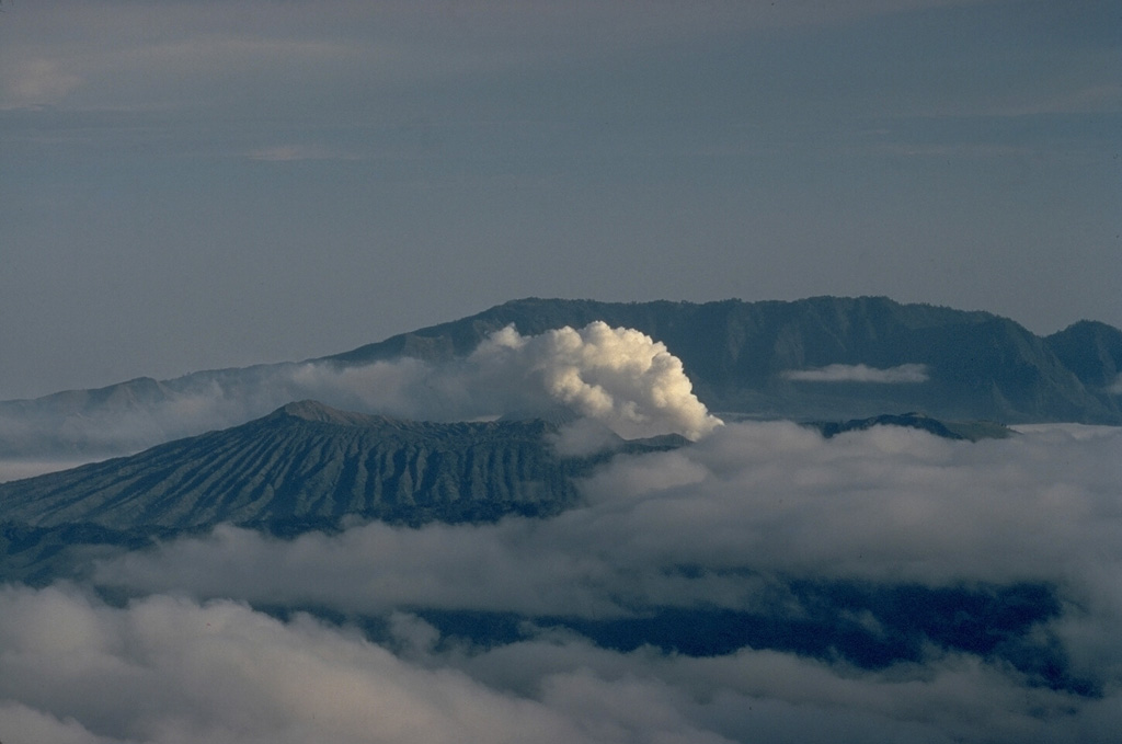 Steam rises from Bromo, a post-caldera cone of the Tengger caldera, seen here from Semeru volcano to the south.  The ridge in the background is the outer wall of the 16-km-wide Ngadisari caldera.  Bromo, the source of all historical eruptions at Tengger caldera, is one of several post-collapse cones constructed within the younger Tengger (Sandsea) caldera. Copyrighted photo by Katia and Maurice Krafft, 1971.