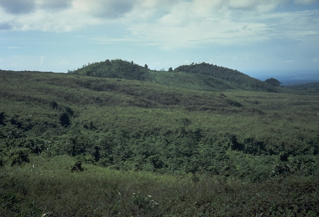 The Gunung Anyar scoria cones were formed during an eruption in 1898 at 400 m elevation on the SW flank of Lamongan. The eruption began on 5 February. Activity slowed by the 7th, but the emission of two small lava flows continued, the largest of which traveled 300 m by the time it stopped on 15 February. Photo by Tom Casadevall, 1987 (U.S. Geological Survey).