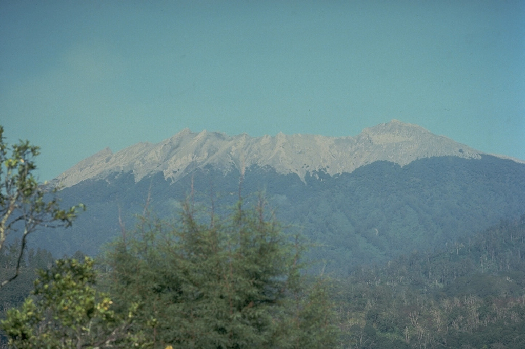 The irregular summit of Raung volcano, seen here from near the village of Jampit in the caldera of neighboring Ijen volcano to its NE, is truncated by a 2-km-wide caldera.  Frequent explosive eruptions during historical time keep the summit of the volcano unvegetated. Copyrighted photo by Katia and Maurice Krafft, 1976.