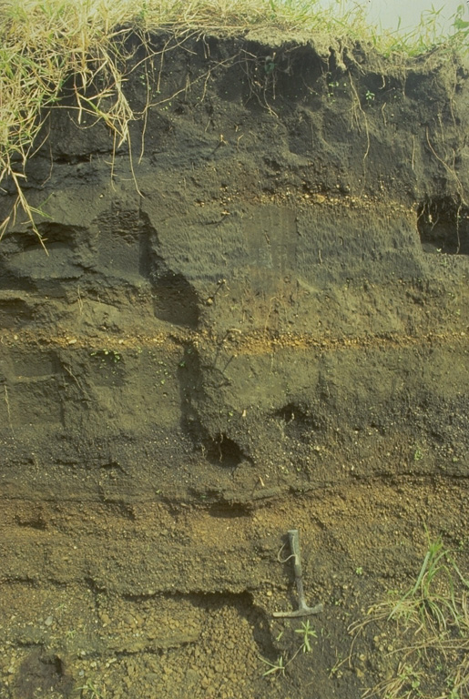 A 2.6-m-thick section at the airport on Neira Island (4.5 km from Banda Api volcano) shows 14 different tephra layers.  The uppermost layer originated during an eruption in 1820, when the village was evacuated due to heavy ashfall.  The section shows several layers of coarser, lighter-colored pumice and lapilli produced during more vigorous plinian eruptions than occurred in 1988. Photo by Tom Casadevall, 1988 (U.S. Geological Survey).