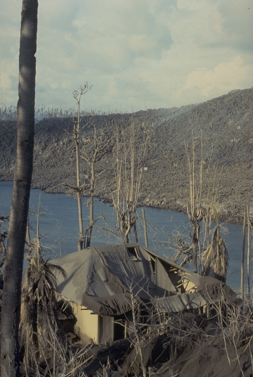 The roof of this house at Pasir Besar on the NW coast of Gunung Api Island collapsed as a result of the loading of ash and the impact of ballistic bombs from the May 9, 1988 eruption of Banda Api volcano.  Tephra from the eruption was distributed primarily to the west.  The barren slope in the background of this May 19 photo is the surface of the 1988 Pasir Besar lava flow, which descended to the sea from a vent on the northern flank.  Photo by Tom Casadevall, 1988 (U.S. Geological Survey).