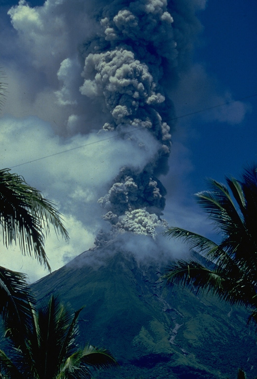 An ash plume rises to 12.5 km above the summit of Mayon volcano on 13 September 1984, seen here from Santa Misericordia on the E flank. This marked the peak of the first phase of the eruption which began on 9 September. The first phase lasted until 18 September and included the eruption of pyroclastic flow that traveled down the NNW flank and lava flows down the SW. Photo by N.B. Gallegos, 1984 (Philippine Institute of Volcanology and Seismology).